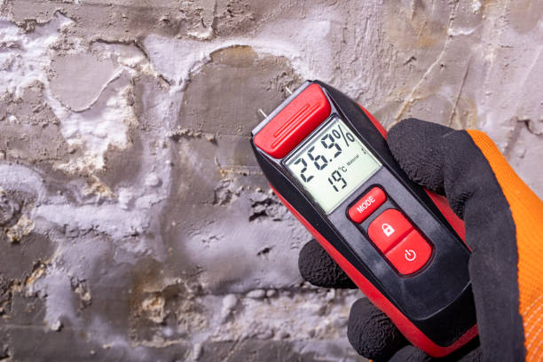 Best Mold Testing  in Tryon, NC