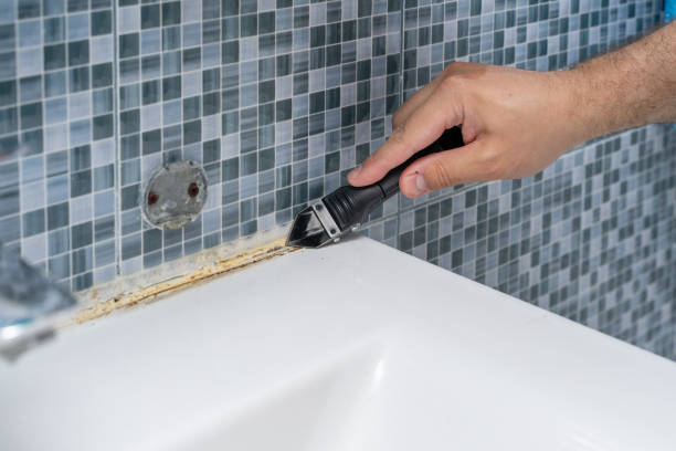 Best Best Mold Removal Companies  in Tryon, NC