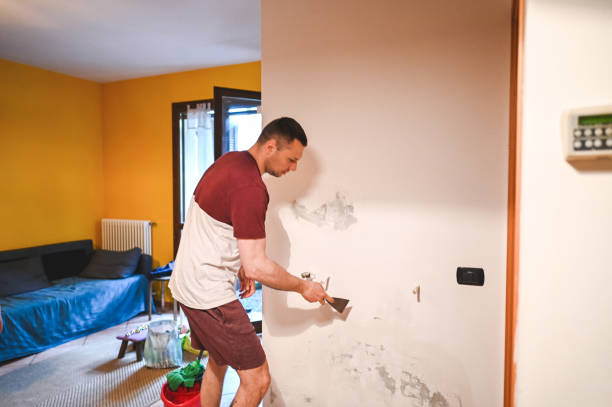 Best Black Mold Removal  in Tryon, NC